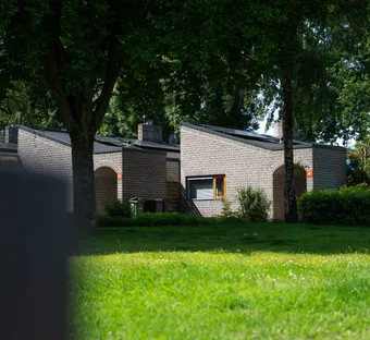 sfeerafbeelding van een groene omgeving met huizen in de verte