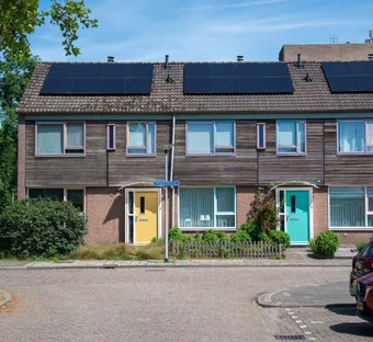 sfeerfoto van een blok rijtjeshuizen met gekleurde deuren