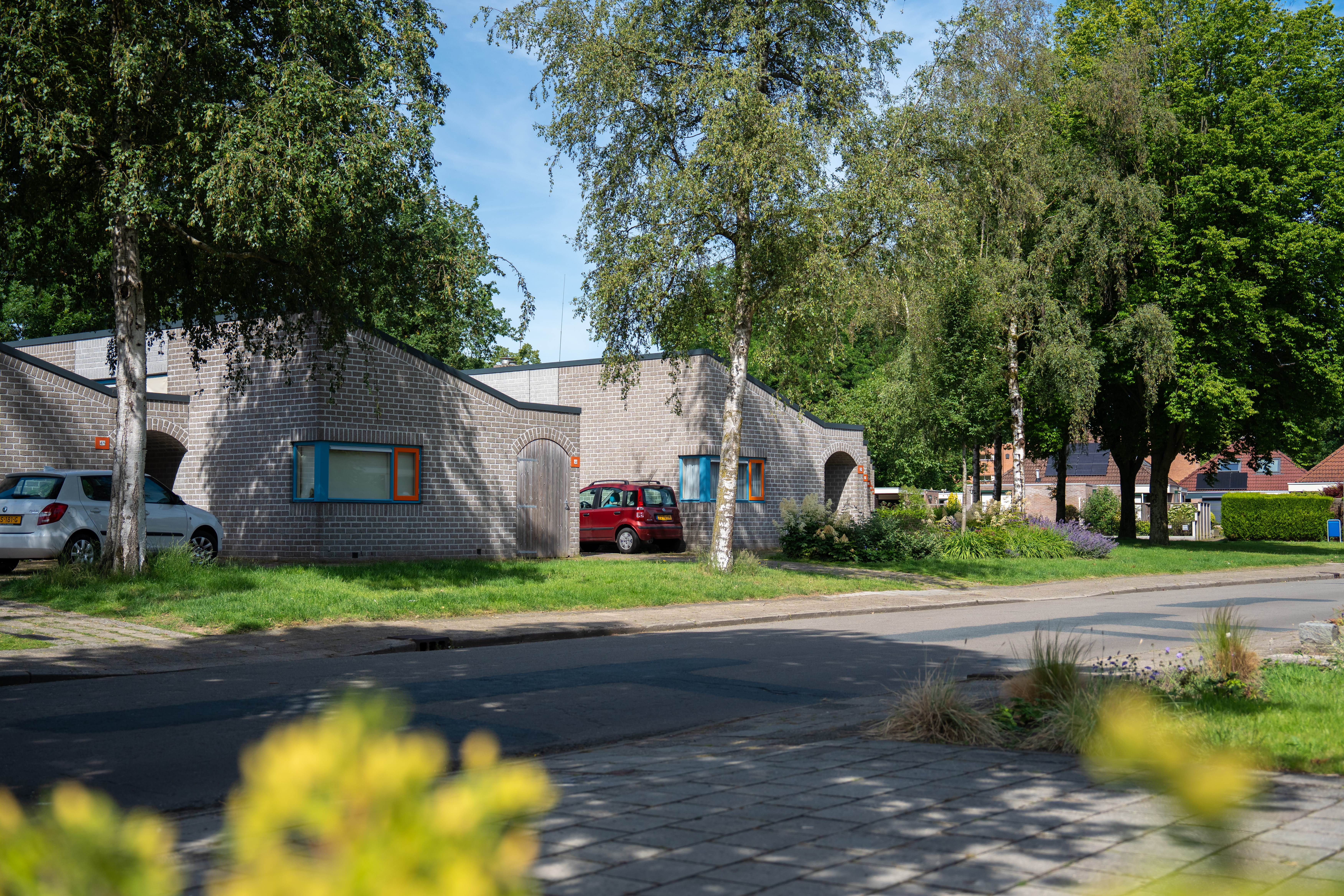 sfeerafbeelding van een straat met bomen en huizen