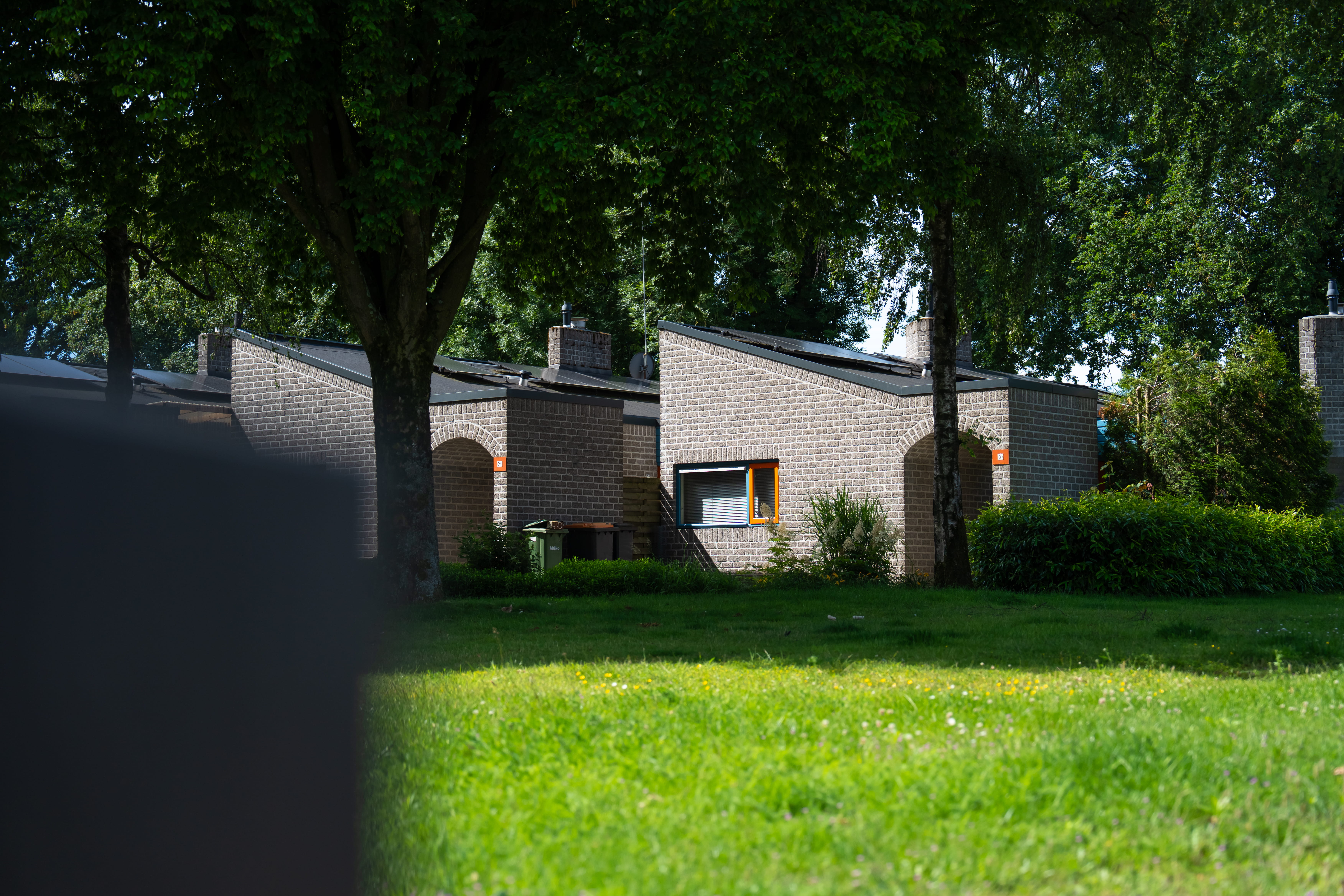 sfeerafbeelding van een groene omgeving met huizen in de verte